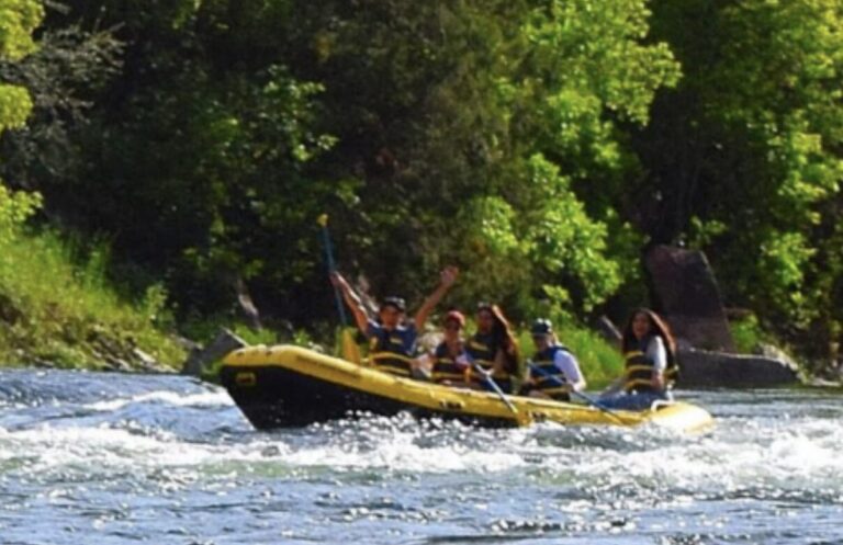 crew enjoying rafting in the river with trees in the background